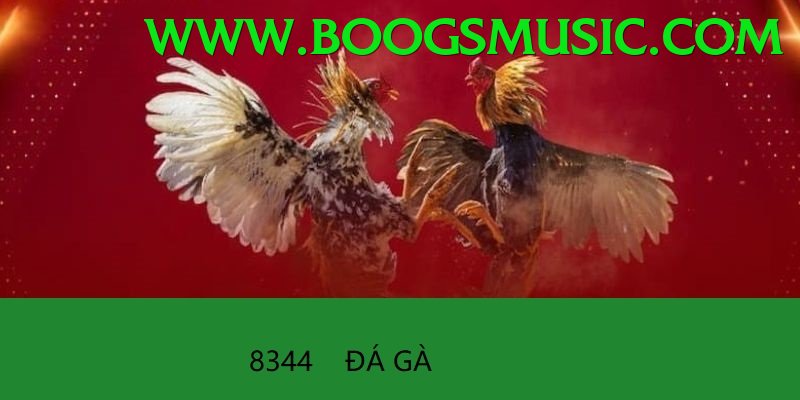 Đá Gà Trực Tiếp - Trải nghiệm tuyệt vời